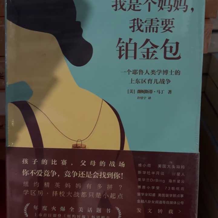 我是个妈妈 我需要铂金包 闪购10