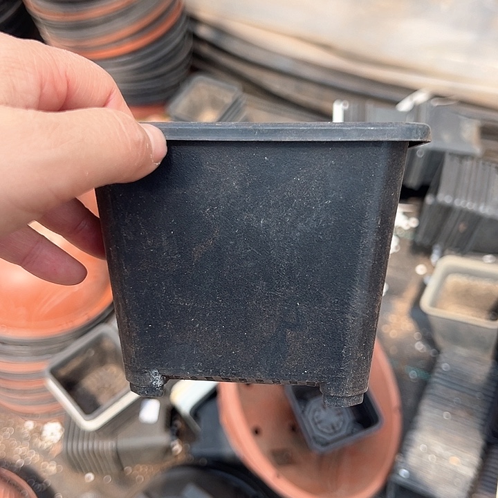 塑料口径11.5高度8.5黑方一组20个