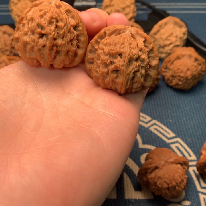 文玩核桃把件41全品白狮子