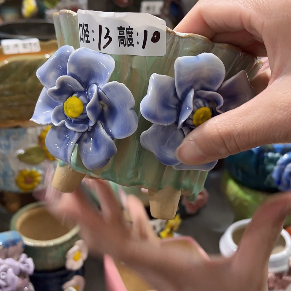 【闪购商品】红陶福利