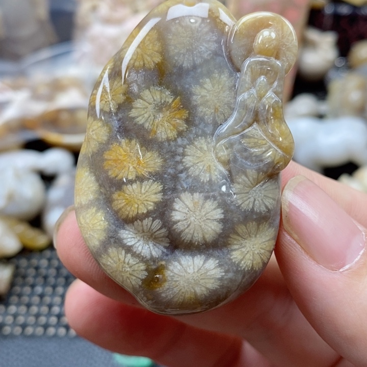 硅化珊瑚（珊瑚玉）颈饰未镶嵌