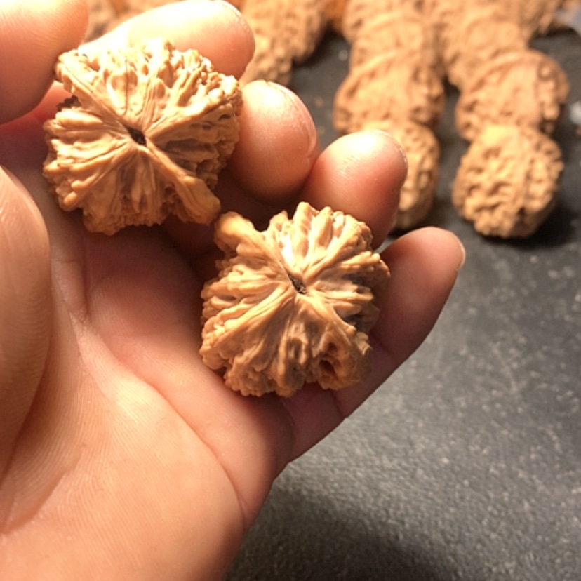 【闪购商品】大****5虎头