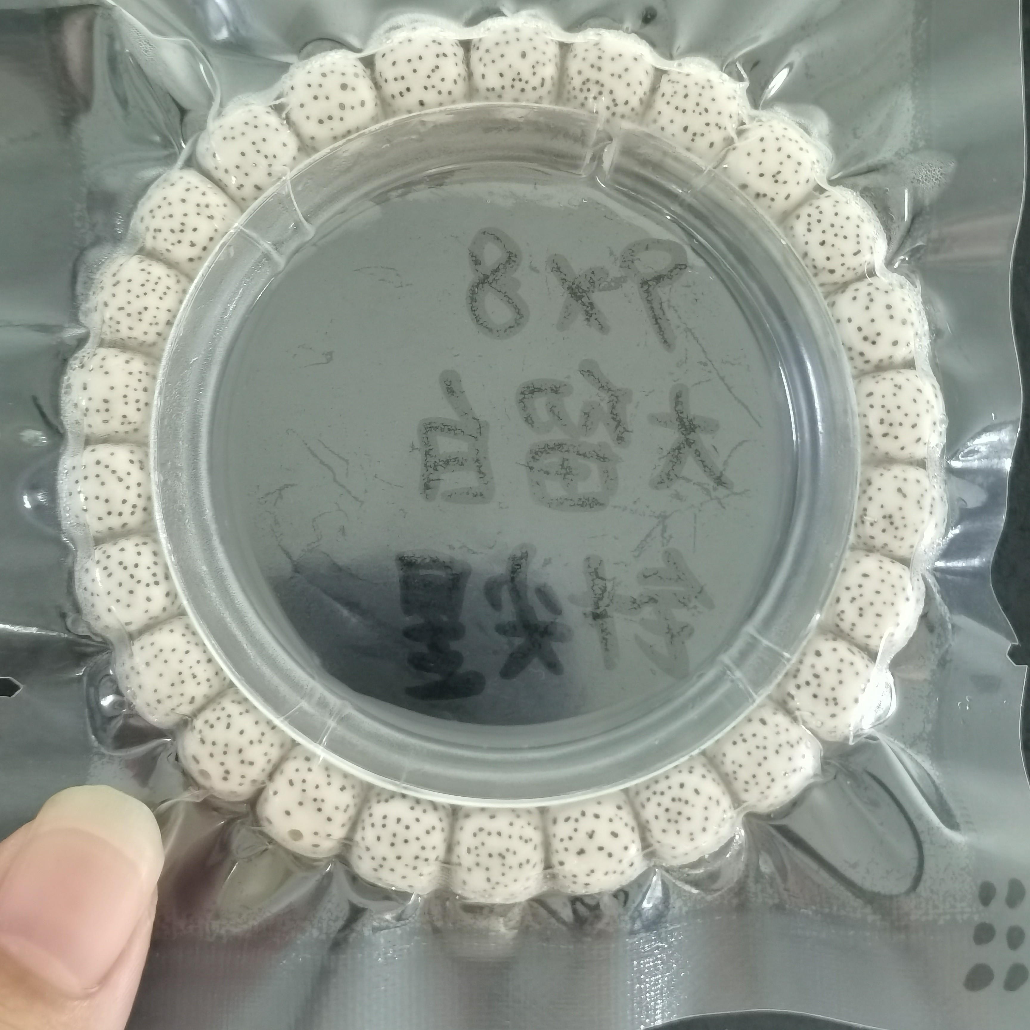 海南料原生态的星月菩提手串9-8同枝侧留白无烟花王者星的高货