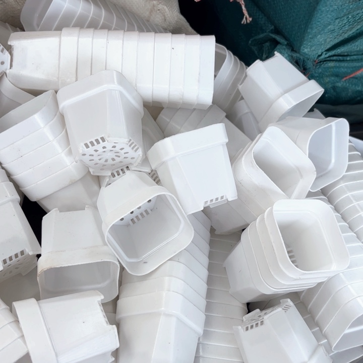 6.5公分白方盆60个