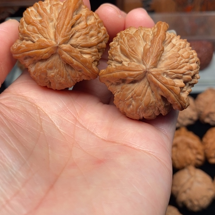 吊坠文玩核桃白奔