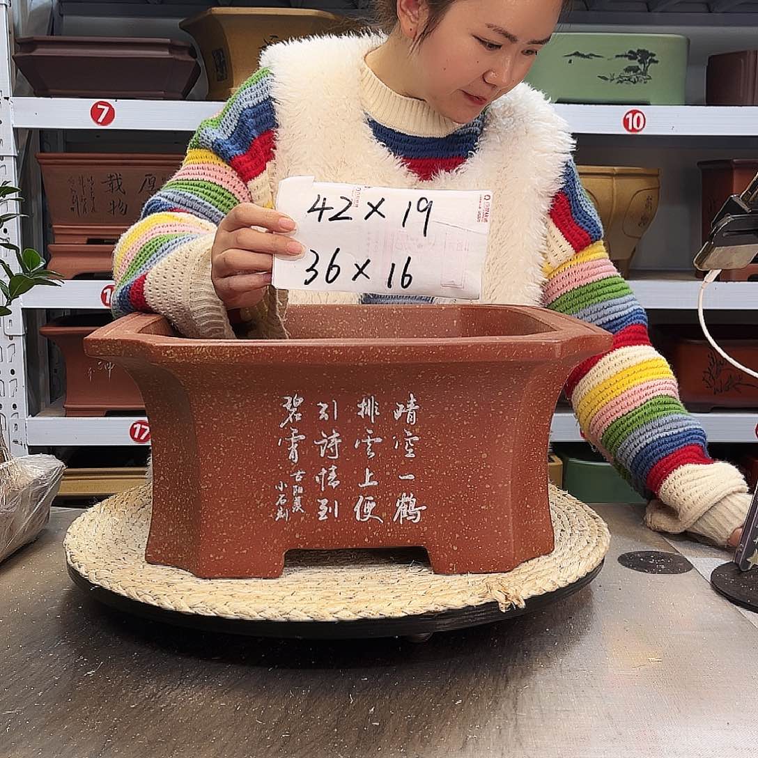 紫砂花盆紫砂花盆