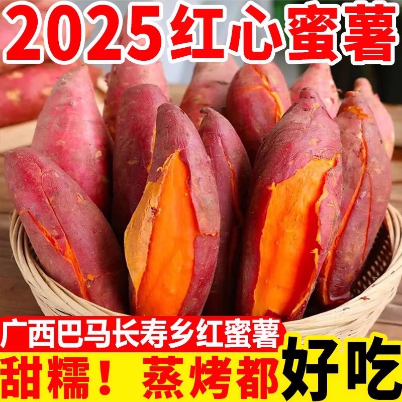 包邮西瓜红蜜薯正宗糖心番薯红薯板栗六鳌沙地瓜农家自种新鲜水果
