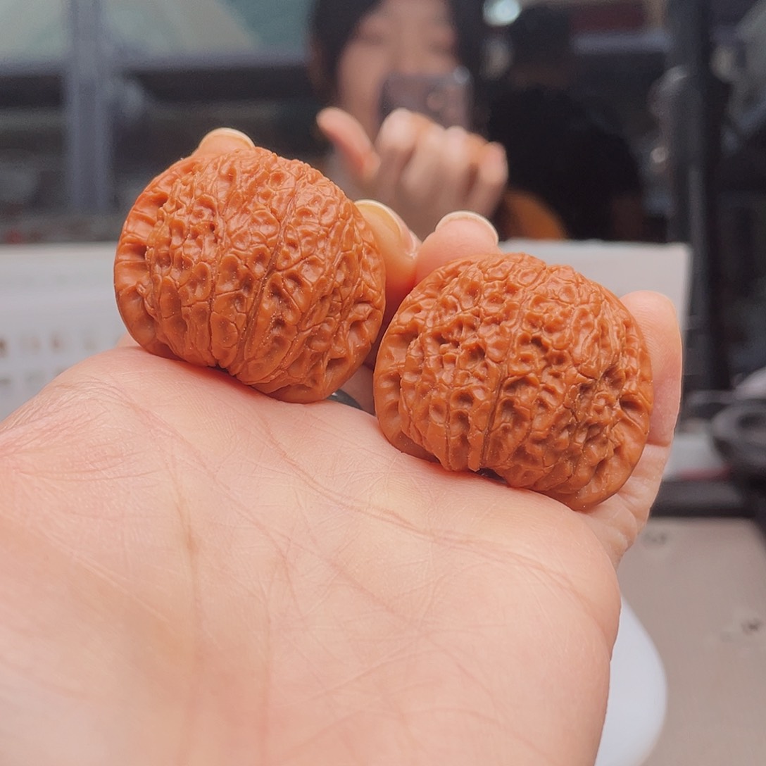 血麒麟25.8楼等我们