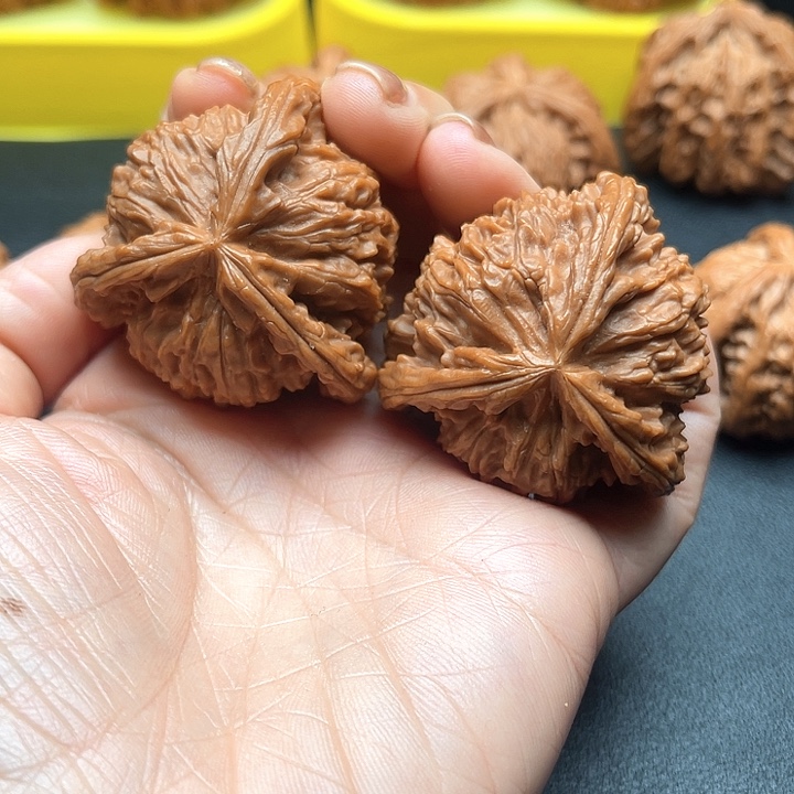王***营核桃43尺白狮子拼接三棱