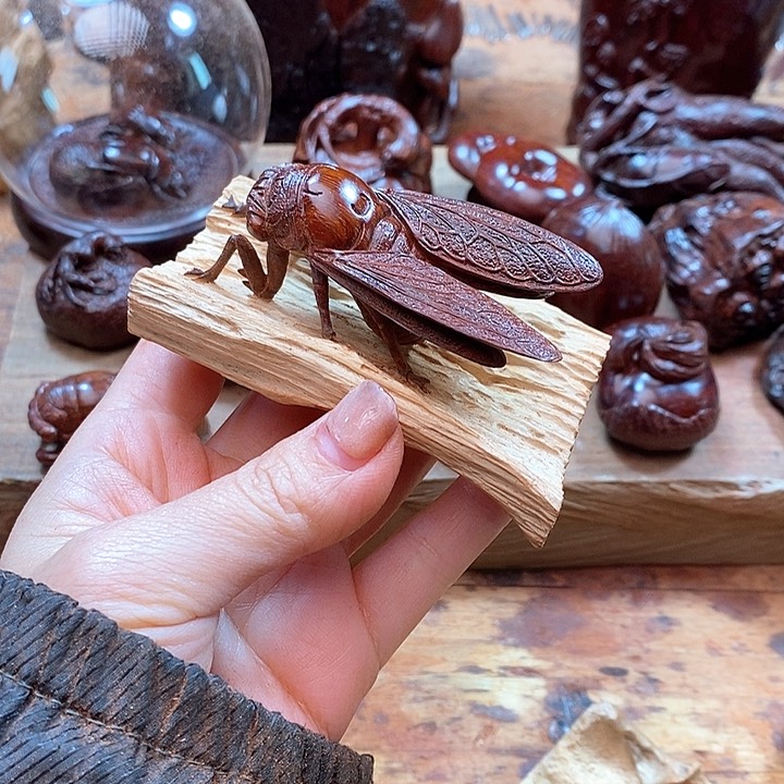 檀香紫檀（小叶紫檀）拾**节