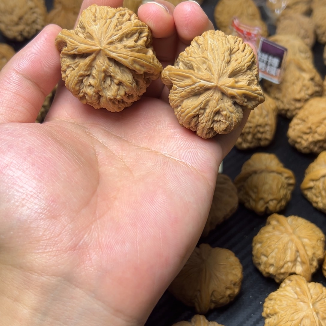 文玩核桃吊坠大粗筋