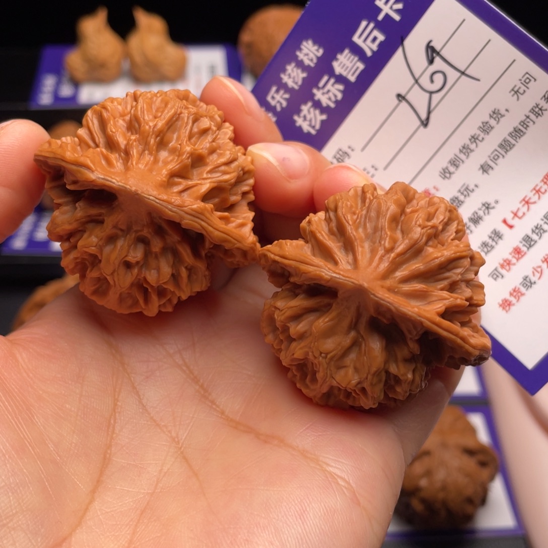 文玩核桃把件帝王44尺