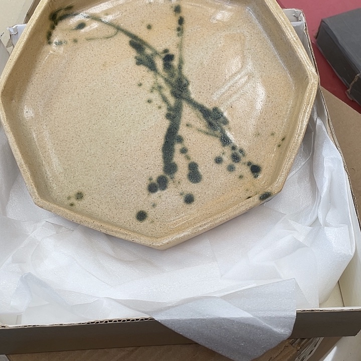 29 贝贝贝贝贝贝贝贝贝