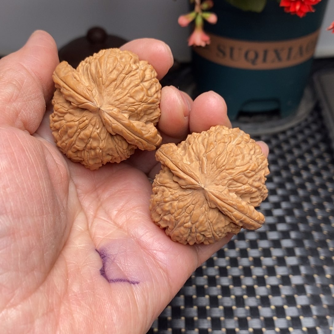 文玩核桃把件43白狮子