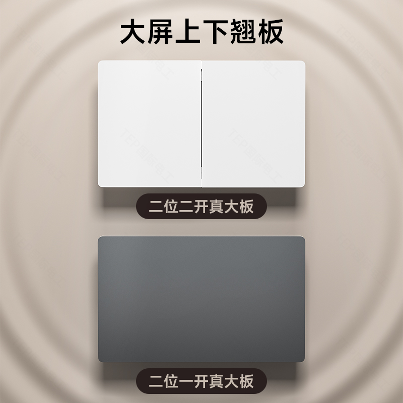 TEP/国际电工超薄哑光118型肤感白开关插座简约面板家用五孔一开