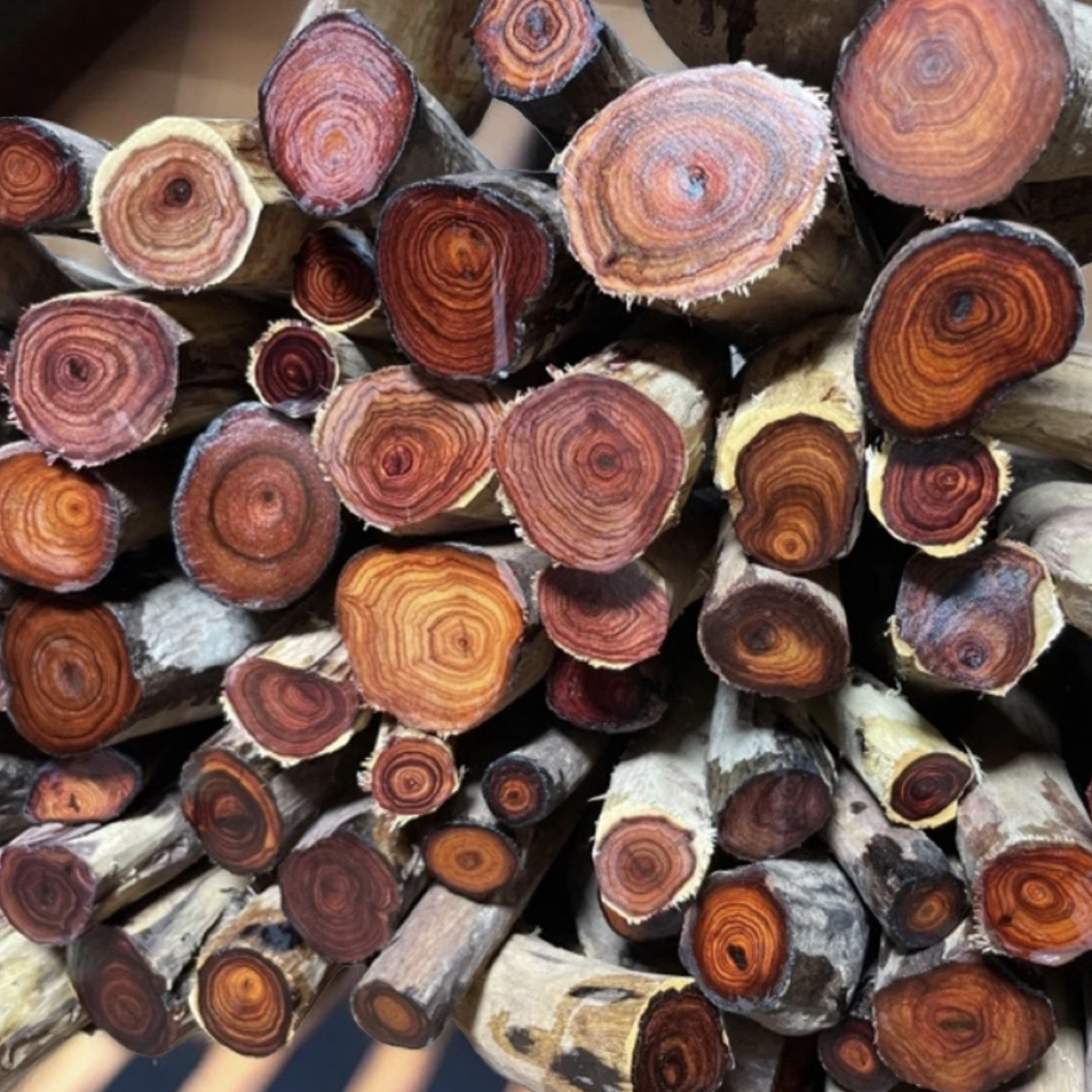 风化土埋老料木作木串