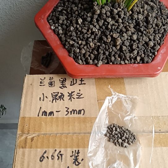 梦***花兰菌黑山土小颗粒6.6斤