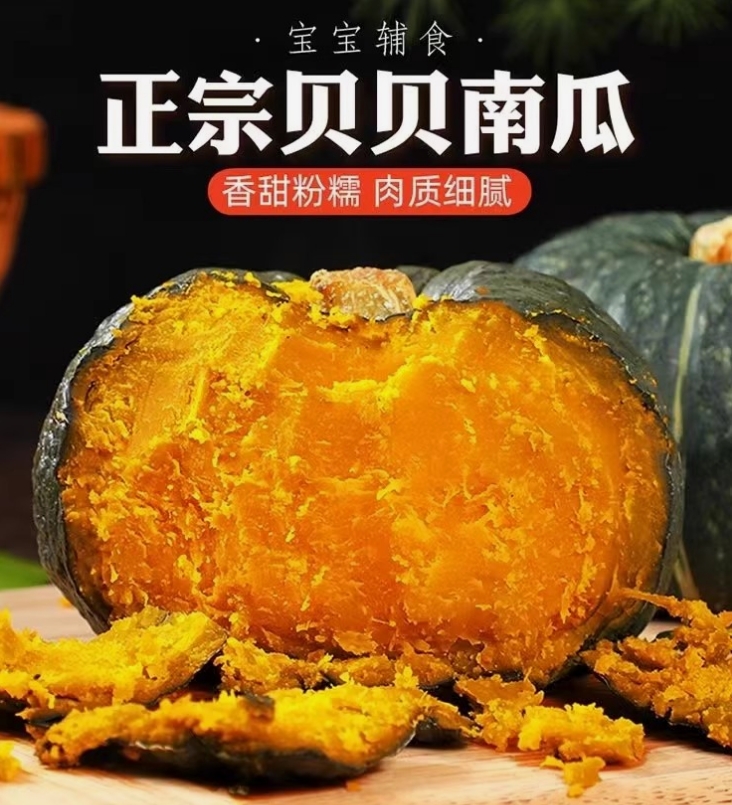 GY新鲜采摘沙地贝贝南瓜粉糯细腻香甜可作宝宝辅食