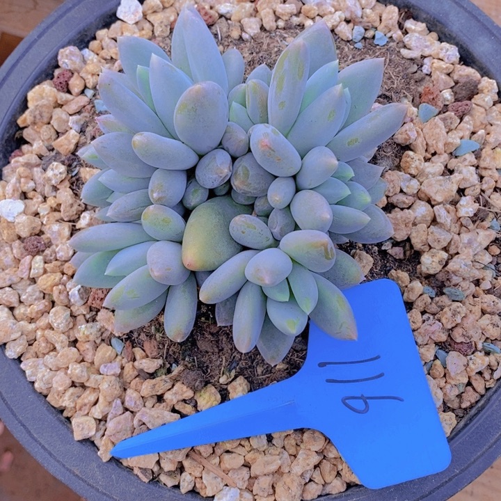 我自己买票买好去