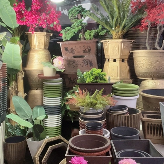 复合盆景制作方法