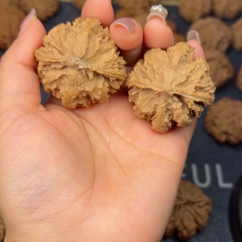 桃核吊坠陌*秦岭野生野生