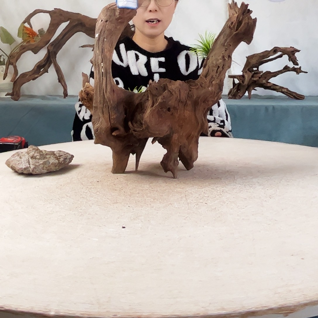 沉木造景爬宠造景