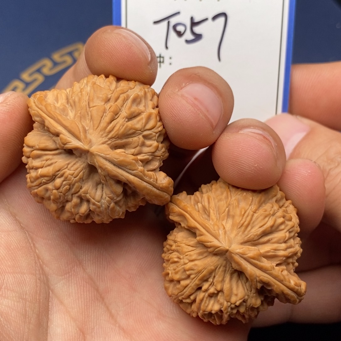 文玩核桃把件白狮子057