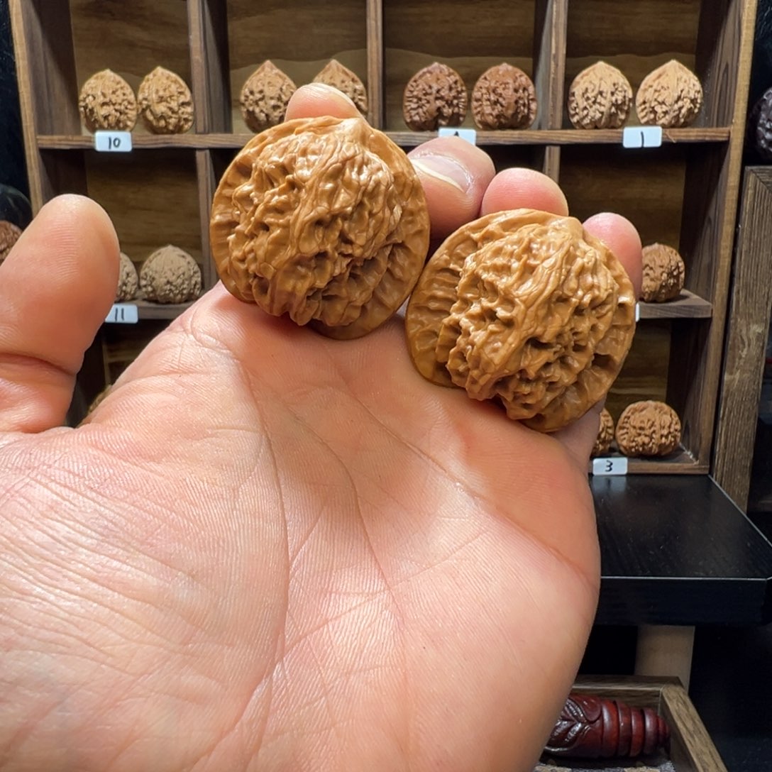 宋***稷文玩核桃把件野狼