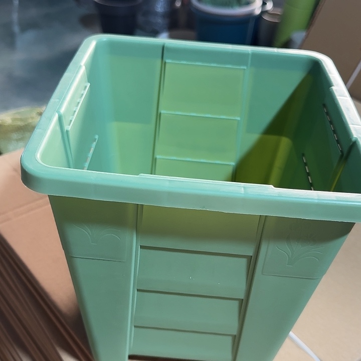 编号303果绿无托6个