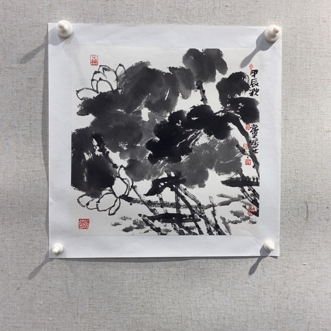 【闪购商品】国画用****3墨鱼精品墨鱼精品