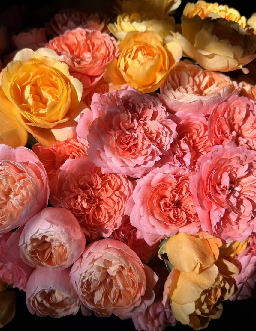 直播间随机花材一份