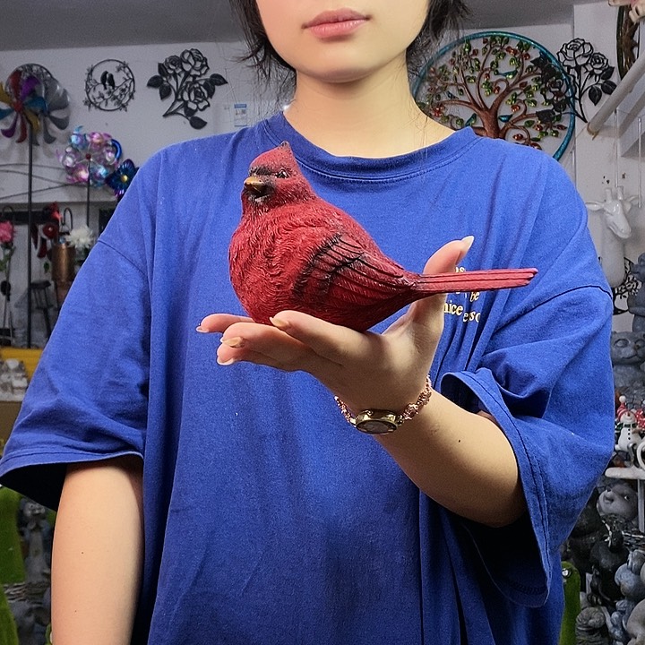 树脂o qu zou lo wu t