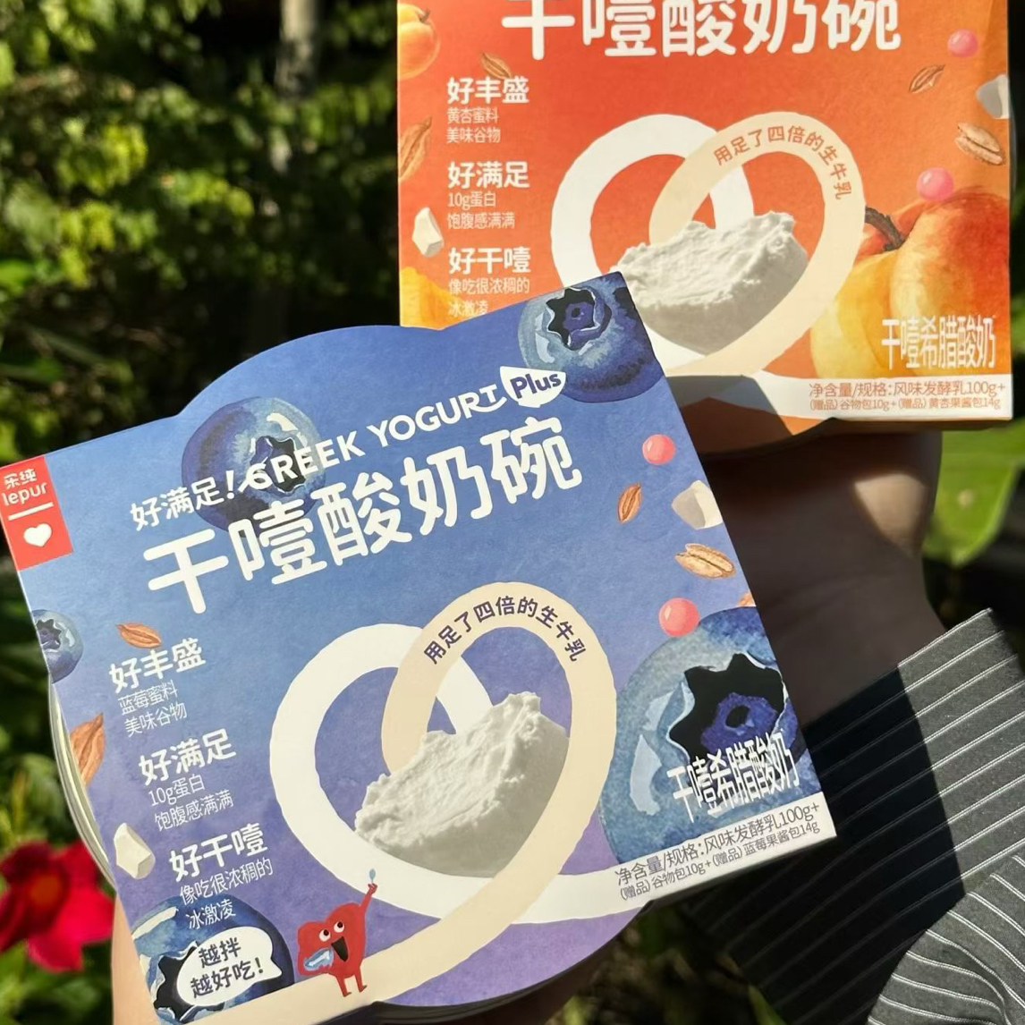 乐纯好满足干噎酸奶（2种口味保质期至1.15）