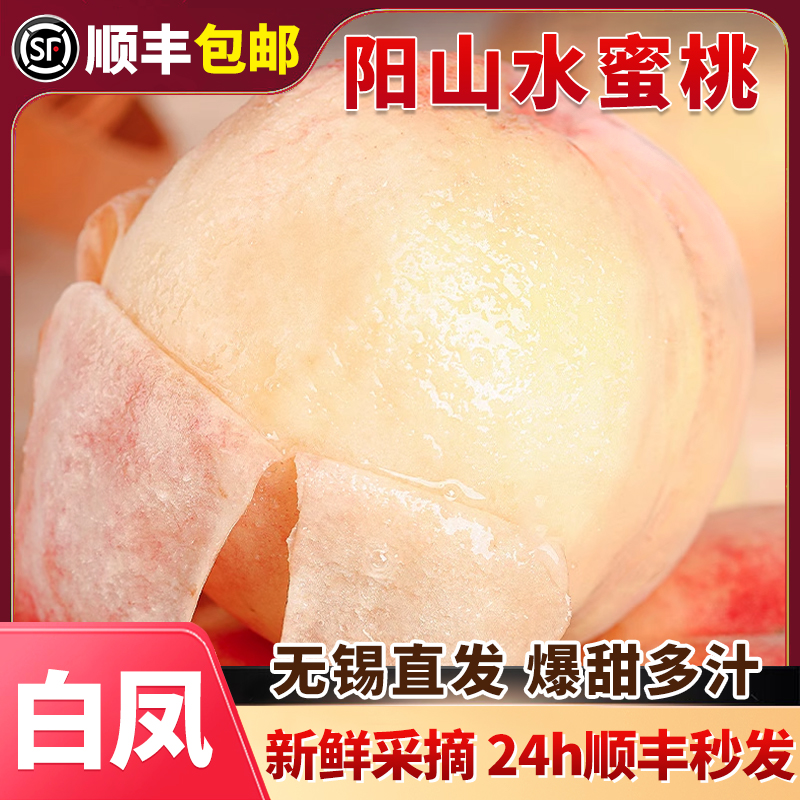 【白凤上市/6-5两8枚】正宗无锡阳山蜜桃新鲜水果当季整箱应桃子软