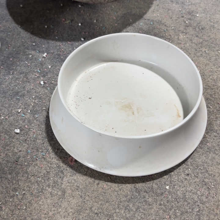 女*、哇塞哦哦哦哦哦哦