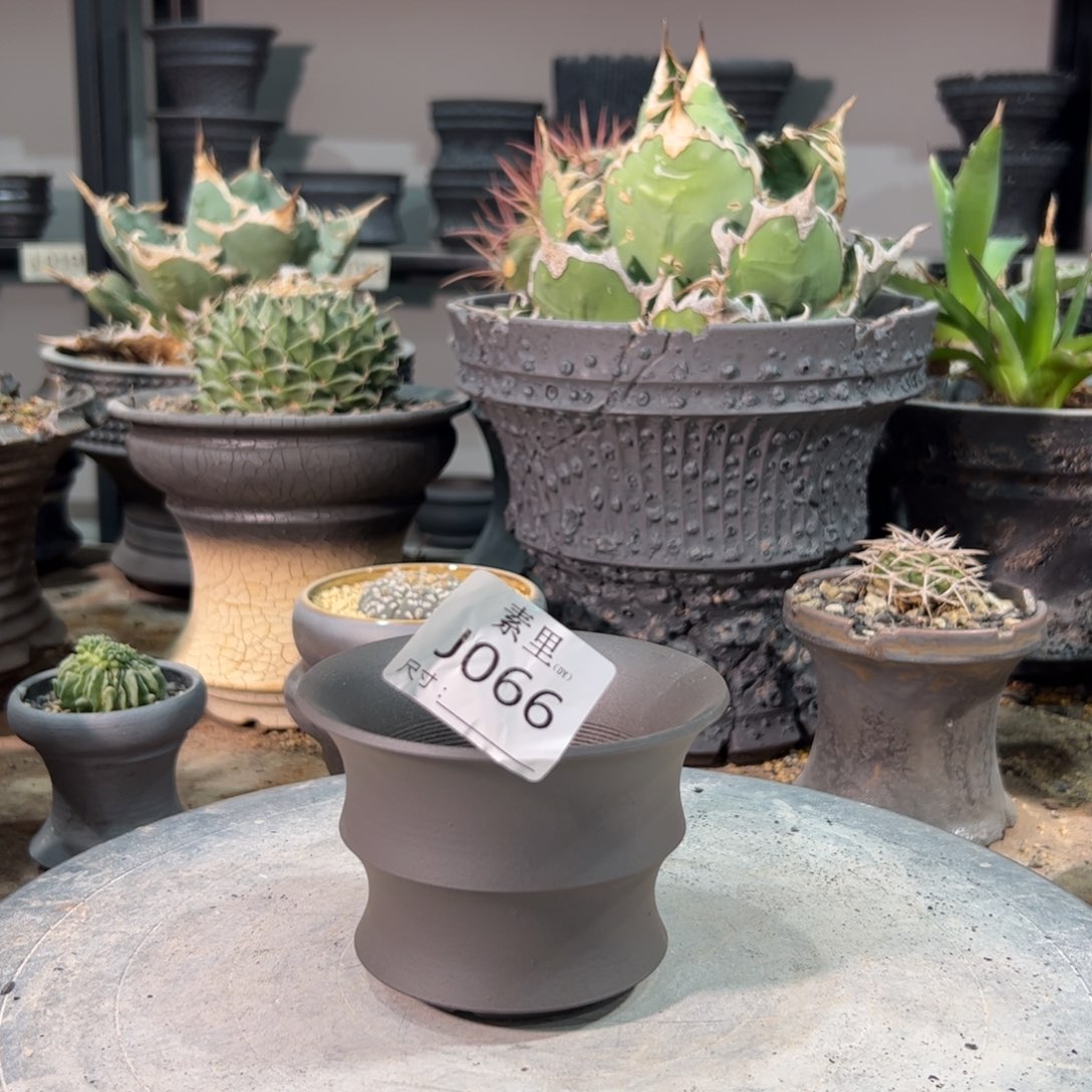 景德镇手工素里内口10高7