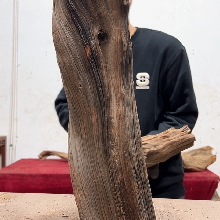 柏木随*我们都是好孩子呀我也是想