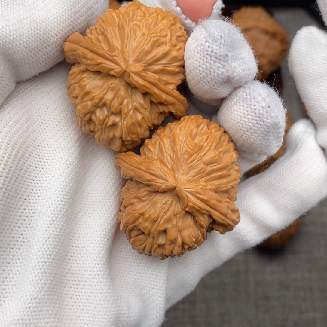 文玩核桃把件38老树全品白狮子