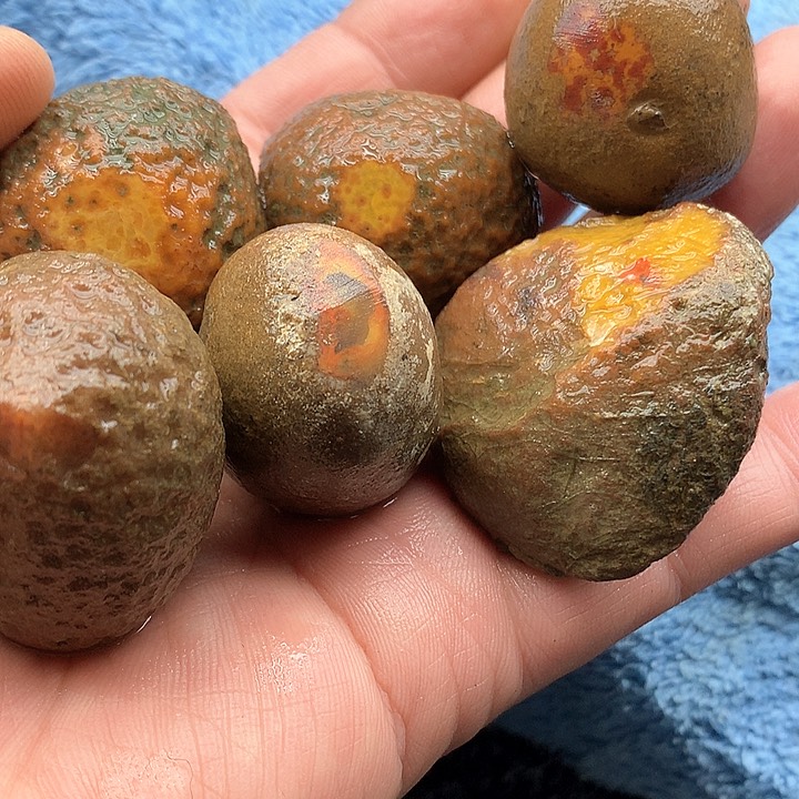 定制玛瑙钧****)河北宣化战国红玛瑙原石