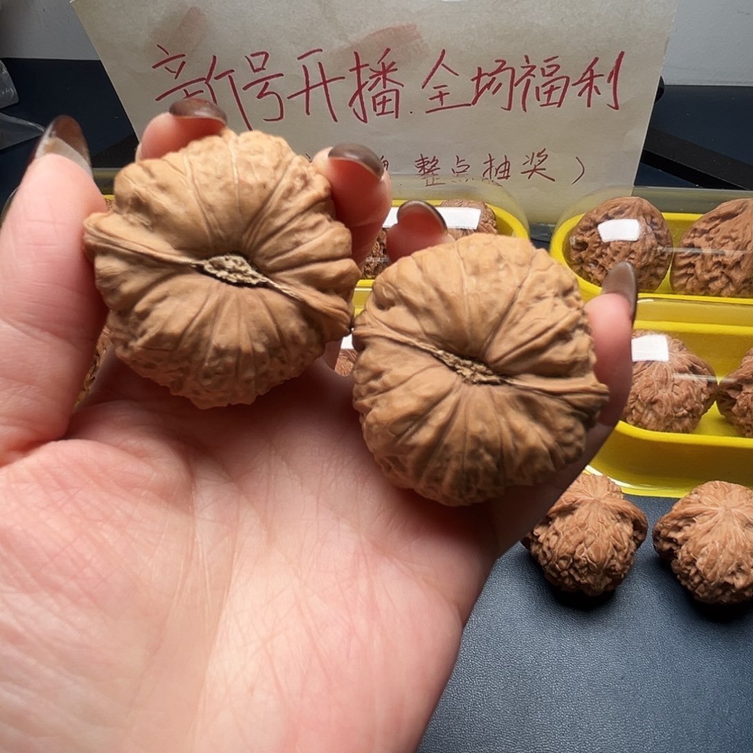 核桃43尺寸南瓜墩