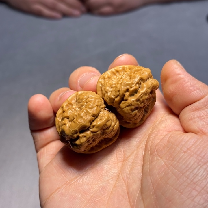 文玩核桃把件蛤蟆790