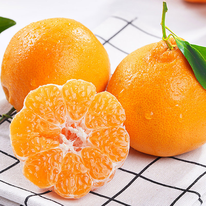 四川春见耙耙柑5斤-8.5斤新鲜水果当季热卖丑橘子