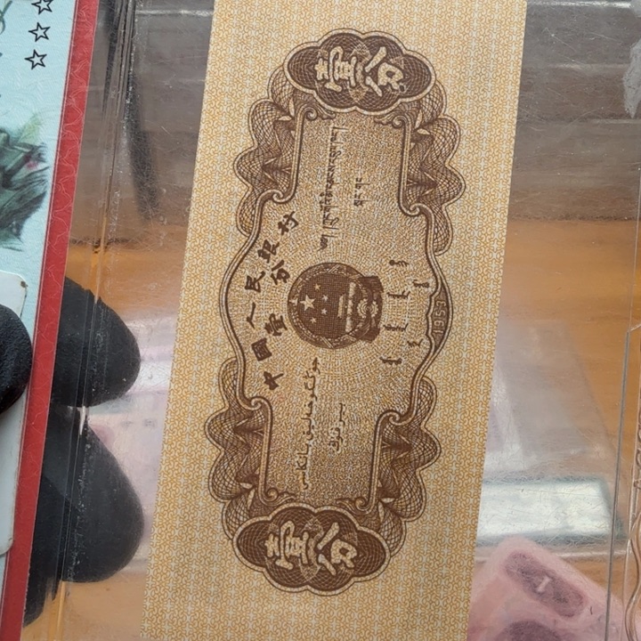 tt73333.93333九同对捆金首指