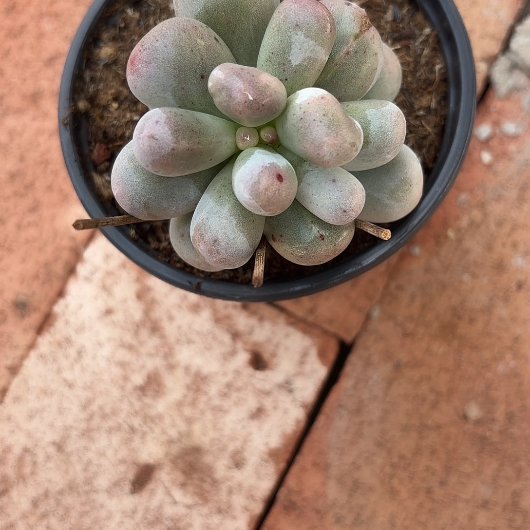 雄***贤啦啦啦啦啦啦啦啦啦啦啦啦啦