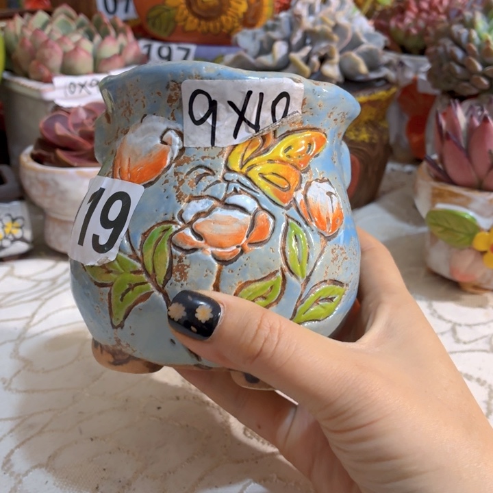 多肉花盆满15包邮