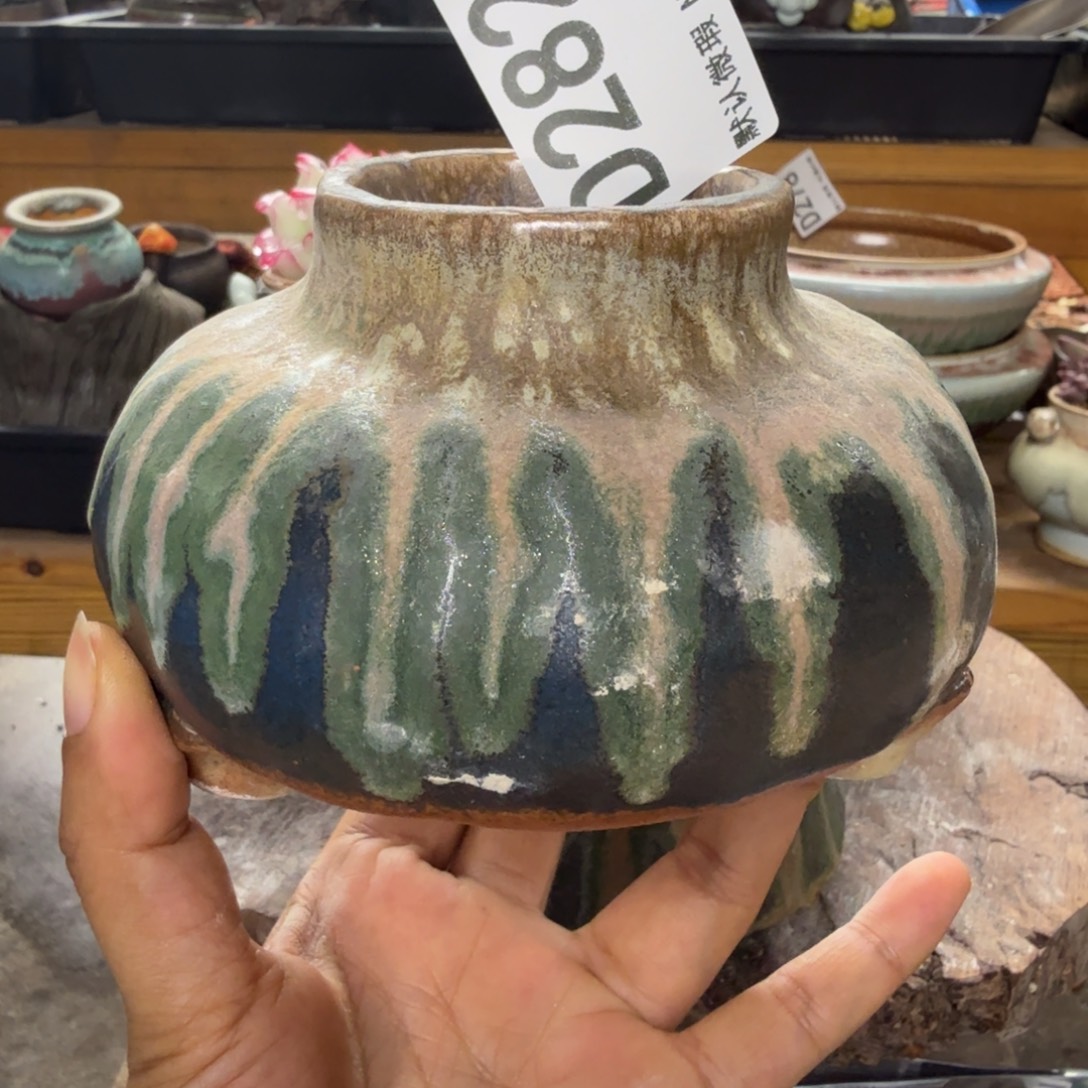 重庆小燕子欢迎大家282