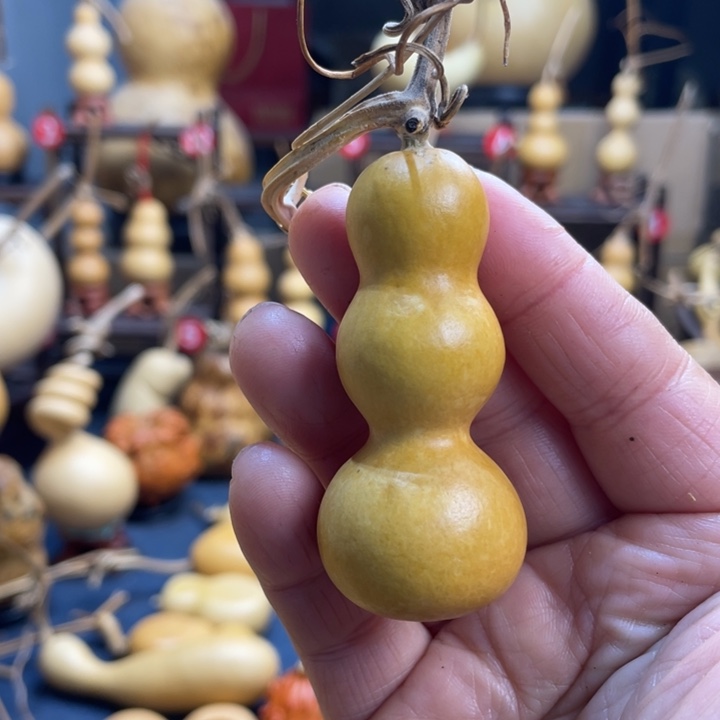 阳***9花开花谢花开的时候你是最好最