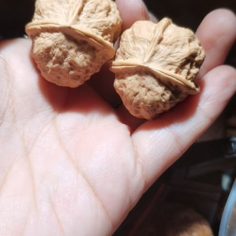 猴头核桃吊坠32三棱