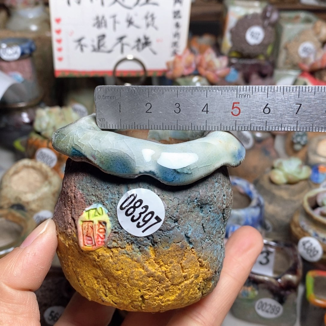 花盆拍2送一个小礼物