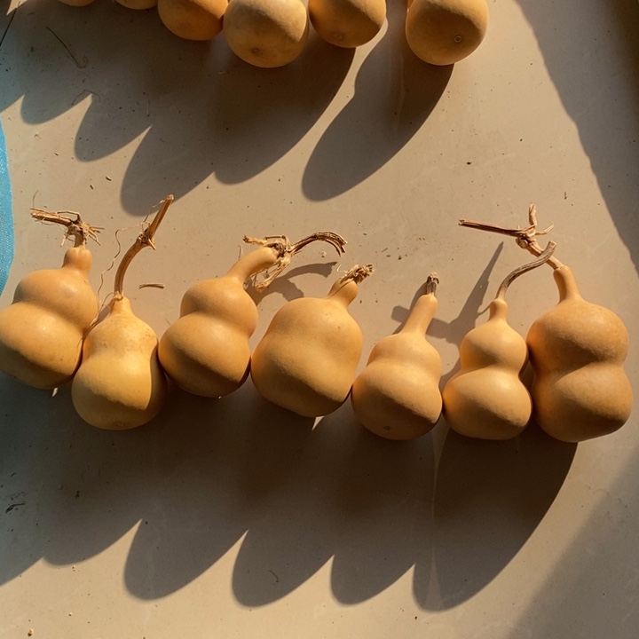 葫芦葫芦六个带一个